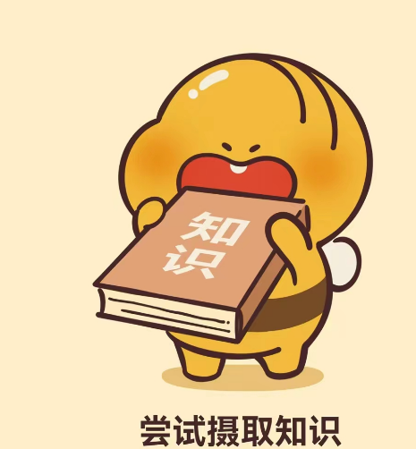 掌握核心技能 一级建造师教程的实用导航